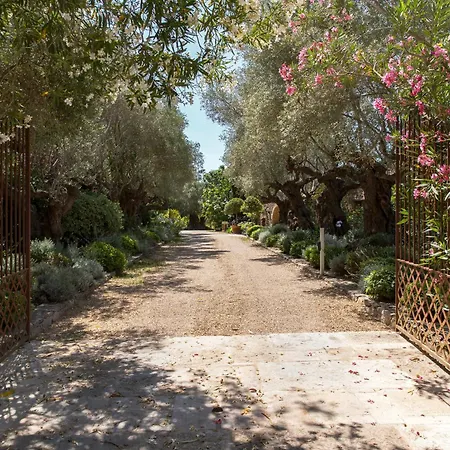 Domaine Les Mesanges בית הארחה