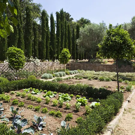 Domaine Les Mesanges בית הארחה גאסה