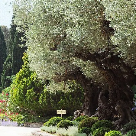 Domaine Les Mesanges 4*