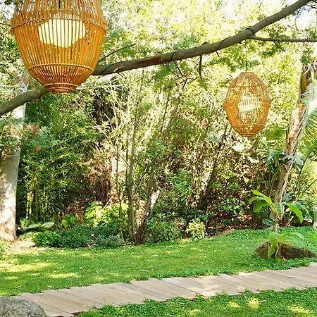 Domaine Les Mesanges 4* גאסה