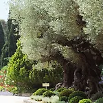 Domaine Les Mesanges 4*