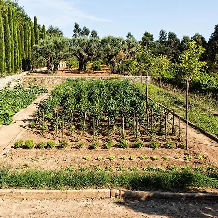 Domaine Les Mésanges Gassin