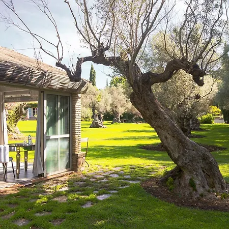 Maison d'hôtes Domaine Les Mésanges Gassin