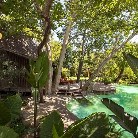 Domaine Les Mésanges 4* Gassin