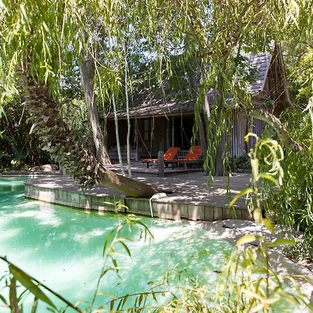 Domaine Les Mésanges