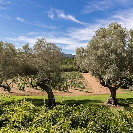 Πανσιόν Domaine Les Mesanges 4*