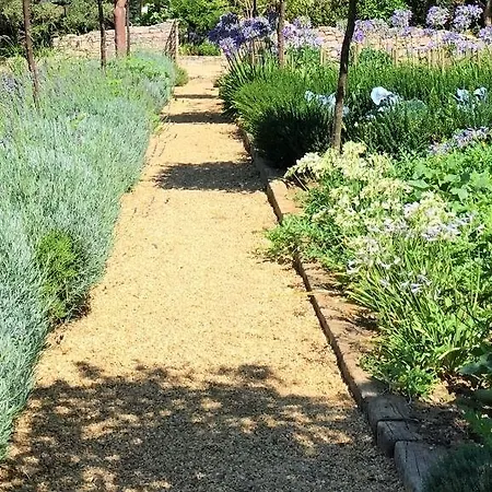 Domaine Les Mésanges 4* Gassin