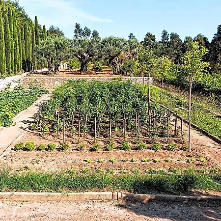 Domaine Les Mesanges 4* Gassin