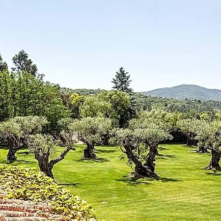 Domaine Les Mesanges Penzion Gassin